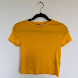 Bright Fitted Crop Top 🤩